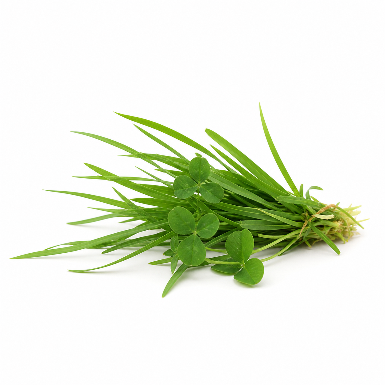 Hyaluronic acid